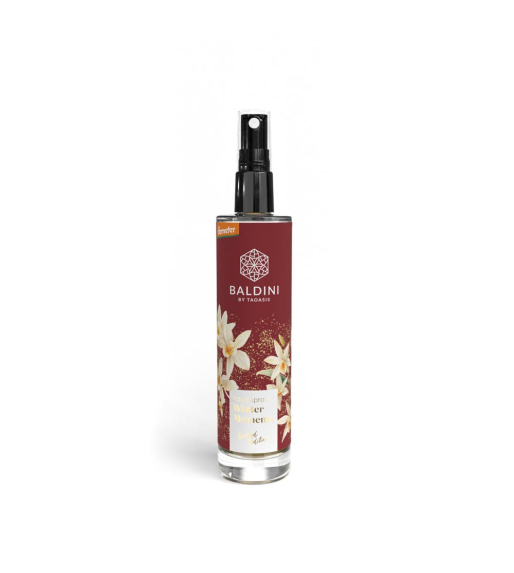 Baldini Winter Moments Roomspray