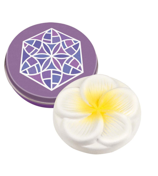 Miniblikje met geursteen frangipani
