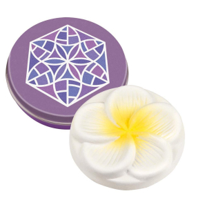 Miniblikje met geursteen frangipani