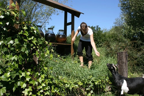 provida eigen landbouw